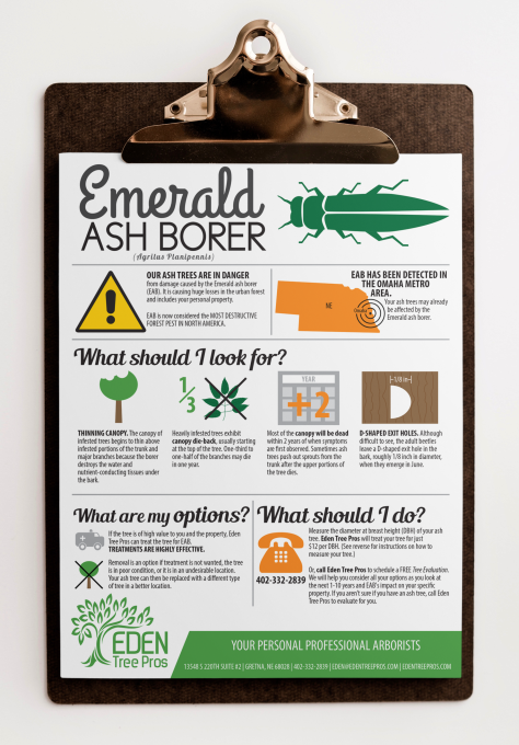 ETP Emerald Ash Flyer 1