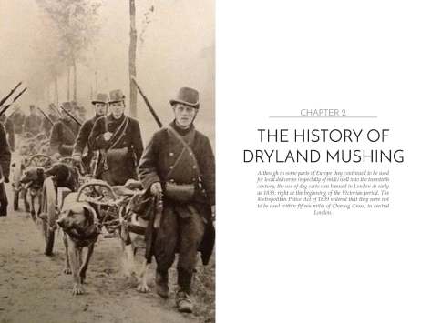 Dryland Mushing_Page_07